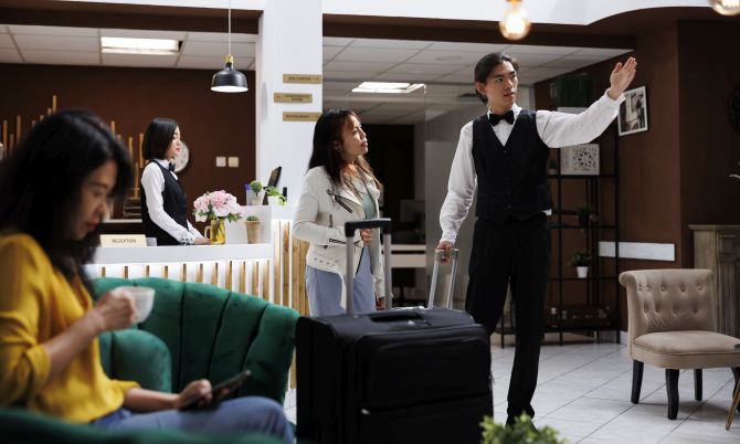dizzyturtle.com